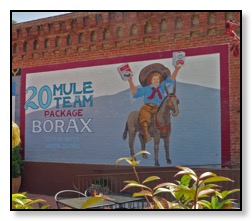 20 mule team borax