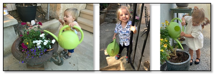 adams family watering plants for TWL