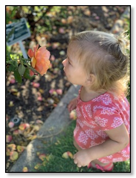 Azelle with rose sniffing