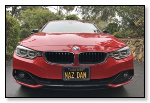BMW license plate