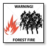 forest fire icon