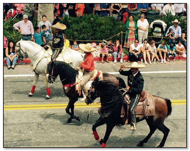 horse parade August 2015