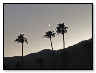 moon over palm springs