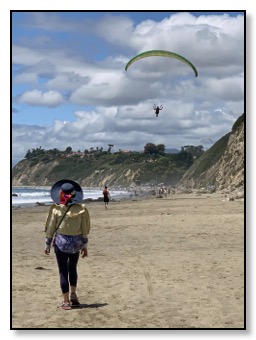 nazy and hang glider June 2020