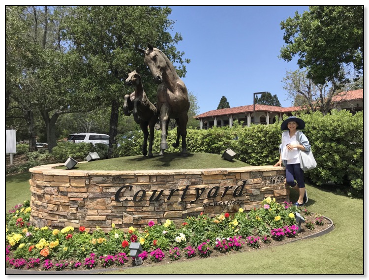 nazy in Thousand Oaks May 2018 horse