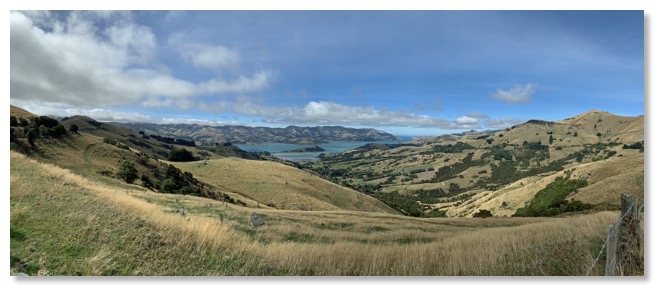 panorama on the road in NZ