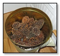 pine cones 2