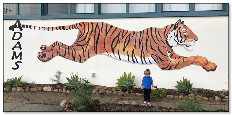 Tiger and Adams school