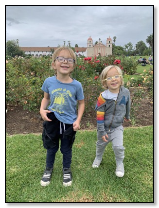 tiger and arrow rose garden June 2020