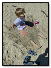 Tiger buried at beach