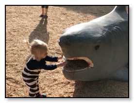 Arrow feeding shark May 2018