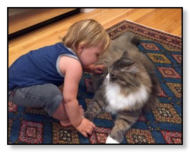 Baby and Cat