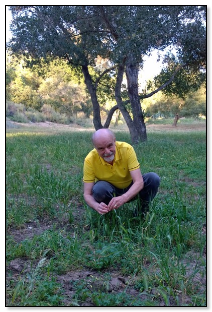 dan tying grass 2015