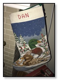 dans stocking