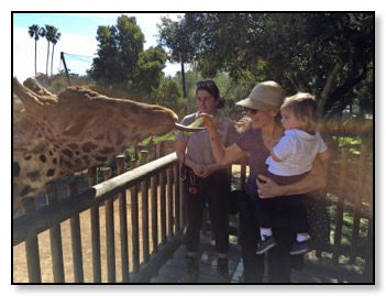 feeding giraffe Feb 2016