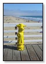 fire hydrant