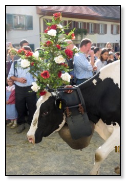 flowered cow 2