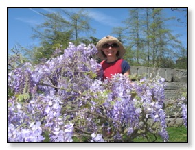 hat with wisteria