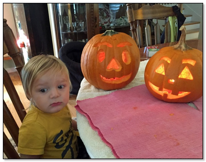 Jamsheed and the pumpkins