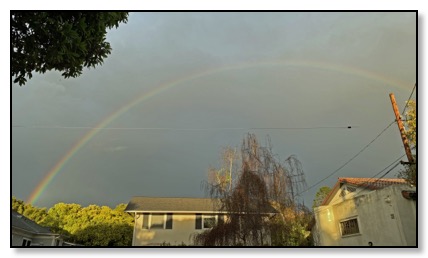 Rainbow SB Jan 2019