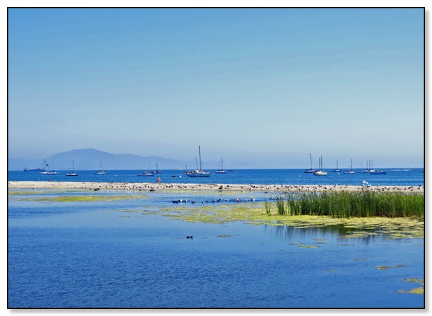 santa barbara harbor copy