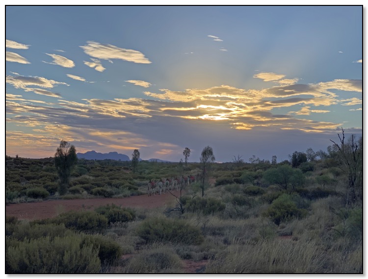 sunset over kata tjuta 3