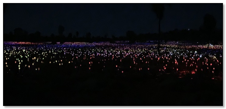 The field of light 