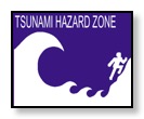 tidal wave icon