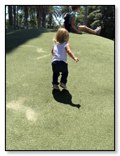 Tiger climbing hill at zoo June 2016