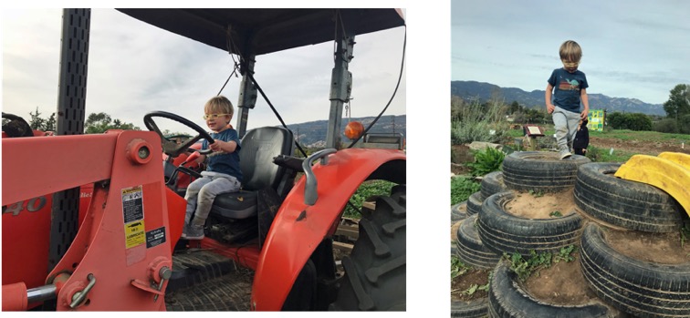 Tiger on tires and tractor