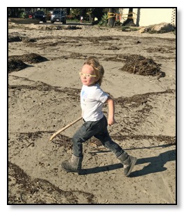 Tiger running on the beach Jan 2019