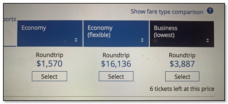 United flight offerings