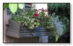 Window box 2 