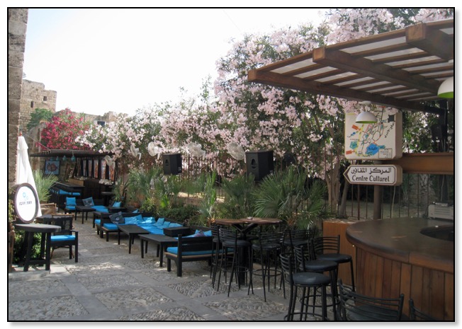 zz flowers in byblos